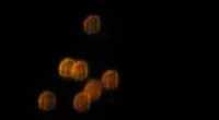 Video of round UFO's spotted above Catalina Island has resurfaced