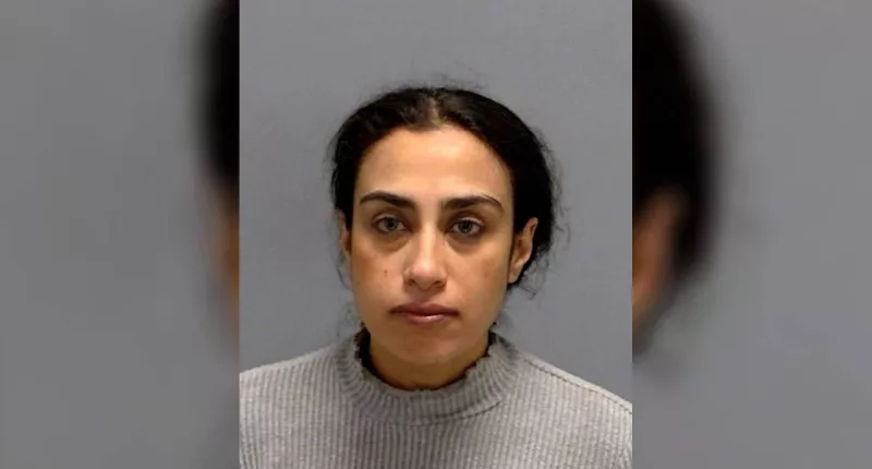 'Terrorist' charged after attempted antisemitic attack in Indiana
