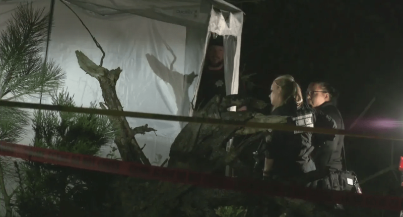 2 arrested in connection to body found near San Francisco music festival