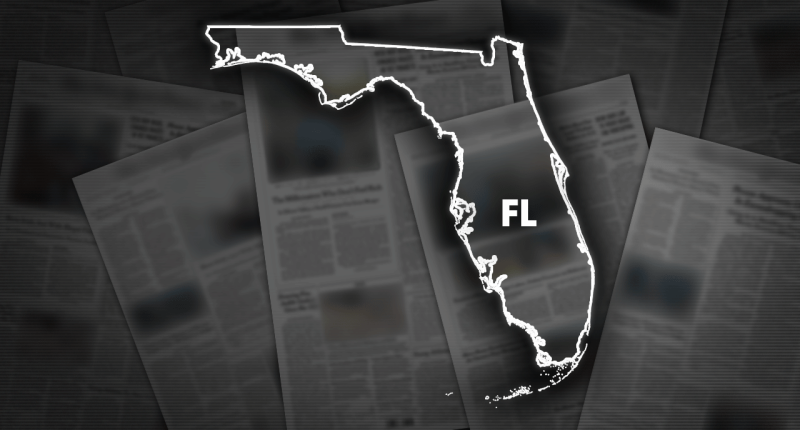 2 more endangered Florida panthers struck and killed by vehicles, wildlife officials say