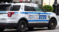 3-year-old killed in hit-and-run just feet from his home: police