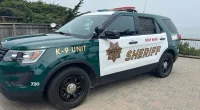 5-year-old boy fatally stabs his twin brother in California