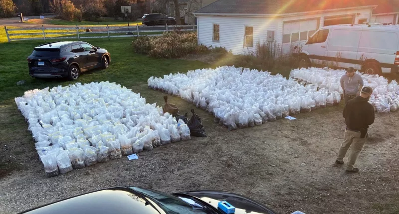 $8.5M worth of psychedelic mushrooms seized from rural Connecticut property