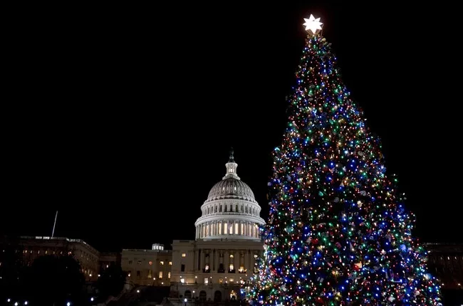 Biden Time: National Christmas Tree Falls Over, Protesters Arrested at Capitol Tree Lighting