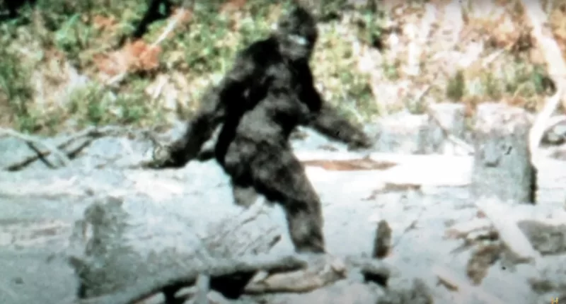 A Bigfoot hunter came across a large muddy footprint in the woods that he speculates could be from the creature