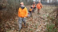 Bill could add gun safety, hunting course to Michigan schools