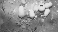 Colombia plans to recover up to $20B in sunken treasure from 'Holy Grail of shipwrecks'