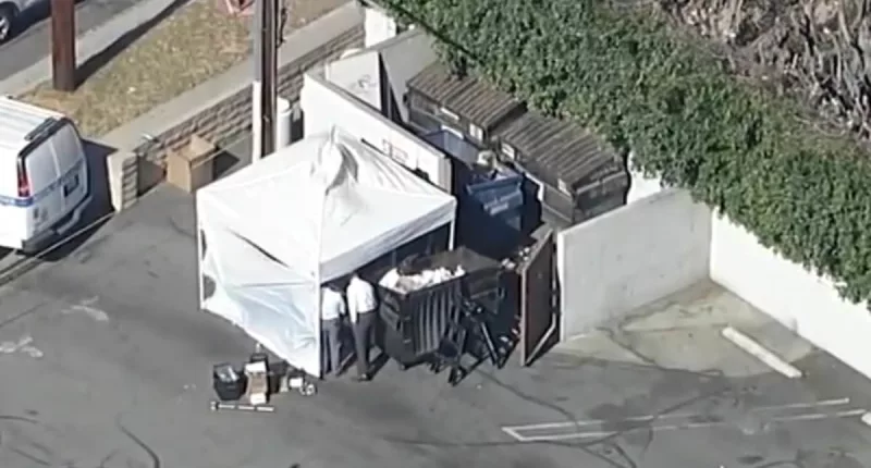 Cops find plastic bag with female torso tossed into a dumpster
