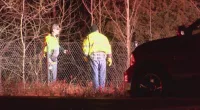 Deer crashes through windshield of vehicle in Wisconsin, 18-year-old dead
