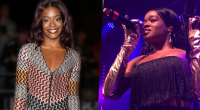 Did Azealia Banks Undergo Plastic Surgery? Before and After Photos