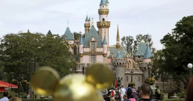 Disneyland Streaker Goes Skinny-Dipping on a Ride, Gets Carried Out Naked by Cops