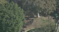 Three people were injured after strong winds knocked down a light pole at Disneyland's Anaheim location on Monday morning