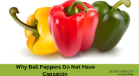 Do bell peppers have capsaicin? No and here's why