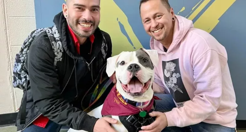 Dog called Elvis finds home with man who worked as Elvis IMPERSONATOR