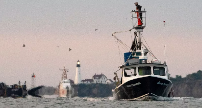 Driver trapped in sinking car in Maine bay rescued by nearby lobsterman, first responders