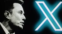 Elon Musk's social media platform is expected to lose $75million dollars in revenue by the end of this year