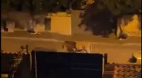 An Italian town outside of Rome has been put on lockdown after a lion escaped from a local circus