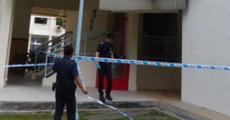 Eunos Suicide 2023: Mother With Infant Leaped From Building