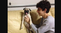 Bosley Dog Death Cause