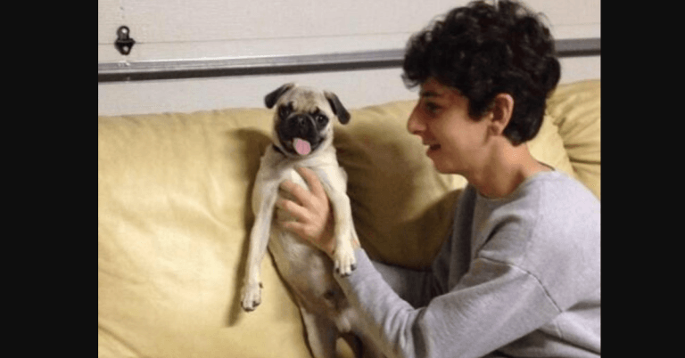 FaZe Rug Bosley Dog Death Cause And Obituary Linked To Heart Failure