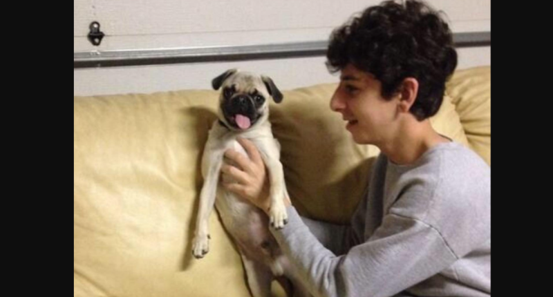 Bosley Dog Death Cause