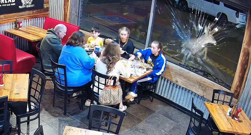Family left terrified after deer leaps through window