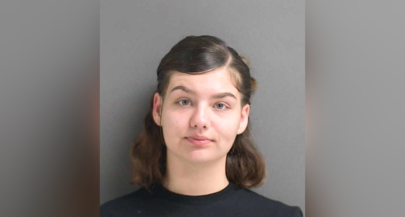 Florida police say 'mistress' used gun belonging to 'sugar daddy' in love triangle shooting