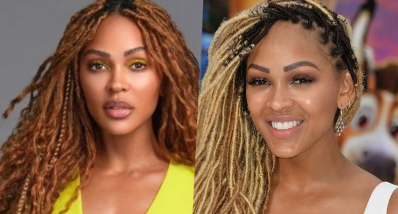 Has Meagan Good Get Plastic Surgery Done? Body Measurements and More!