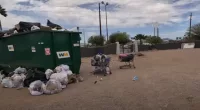 A man shared a video of a motel in Arizona where a lot of people live for free