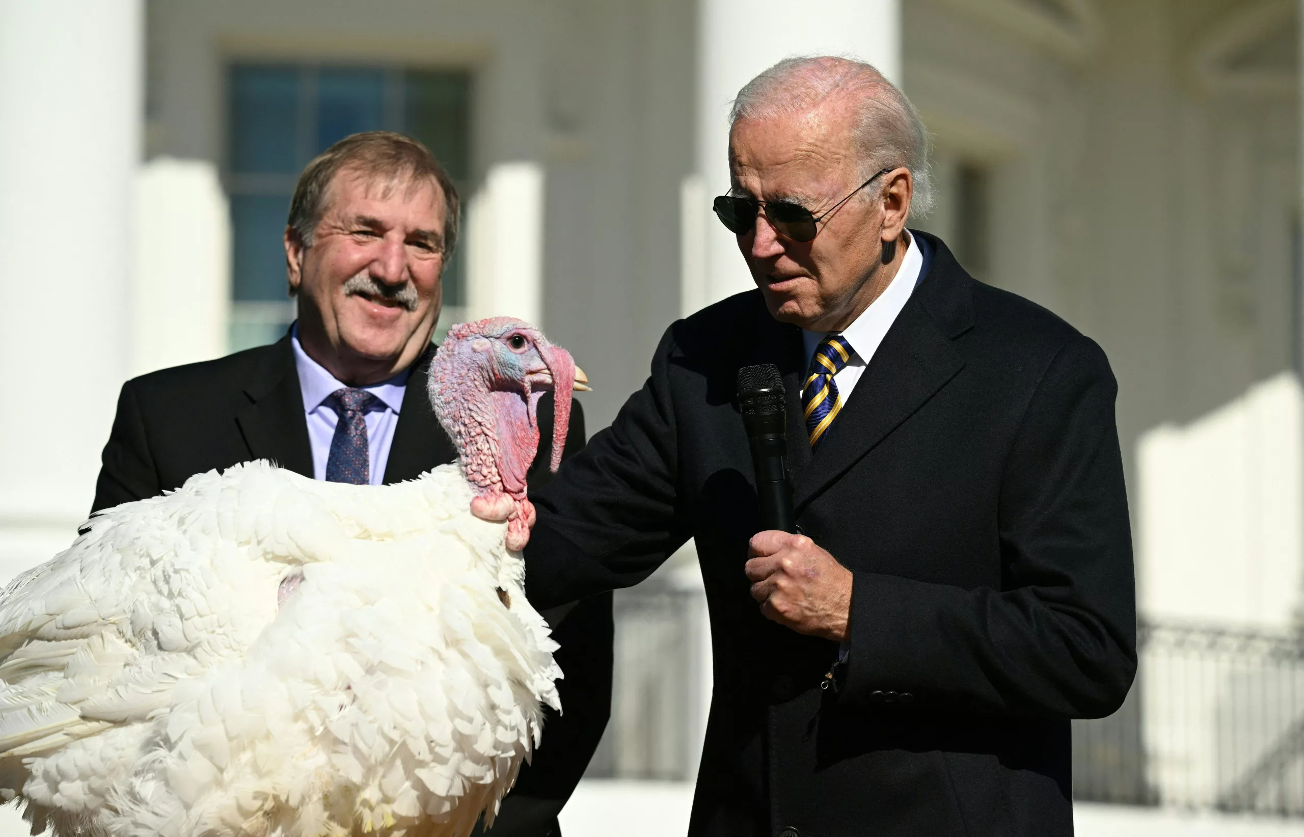 Joe Biden pardons the turkey 'Chocolate' last year