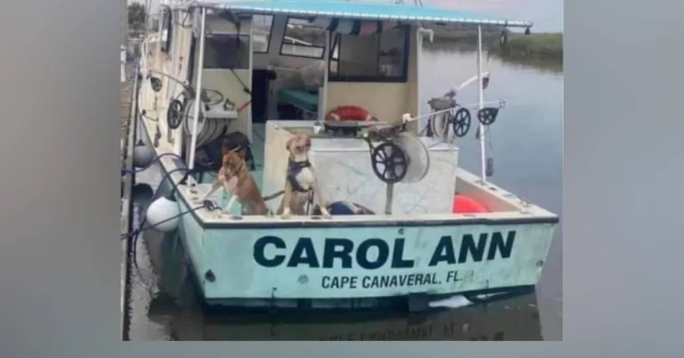 Is Carol Ann Missing Boat Found? Tyler, Caleb & Dalton Wiki