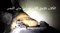 Footage shows an Israeli attack dog running through a tunnel during a training exercise