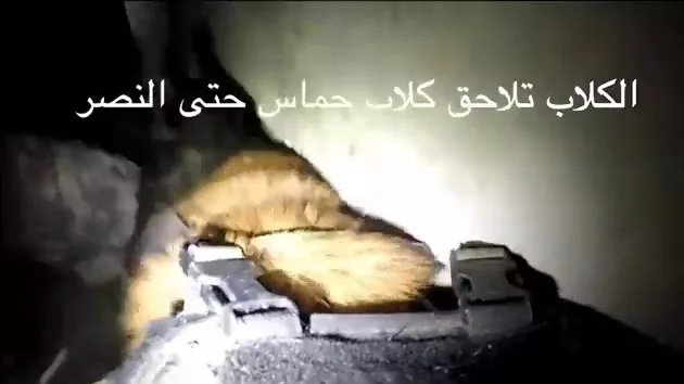 Footage shows an Israeli attack dog running through a tunnel during a training exercise