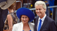 Krisztina Wilders Wikipedia