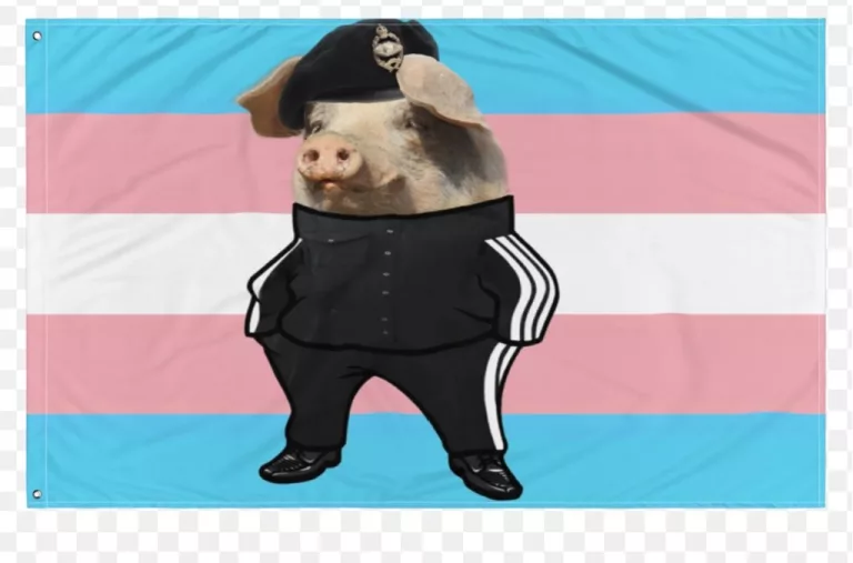 Lazerpig Face Reveal 2023: Wikipedia And Age