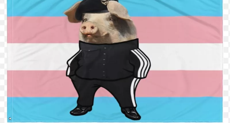 Lazerpig Face Reveal