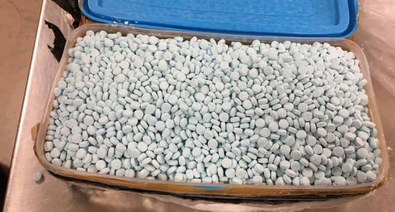 Man pleads guilty in woman's deadly fentanyl overdose