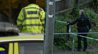 Marlborough Stabbing Incident Today: Teenage Boy Hospitalized