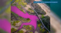 Maui's pink pond may have a different cause, researchers say