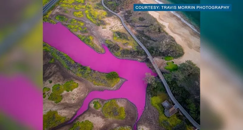 Maui's pink pond may have a different cause, researchers say