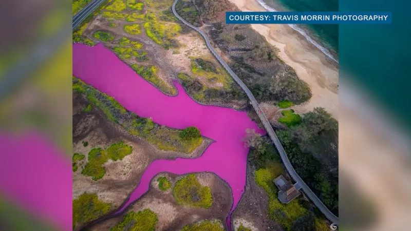 Maui's pink pond may have a different cause, researchers say