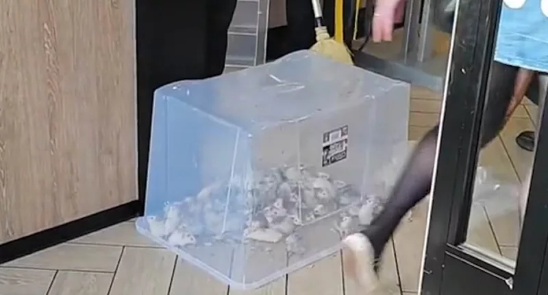 McDonald's in Birmingham hit in second mice attack in as many nights
