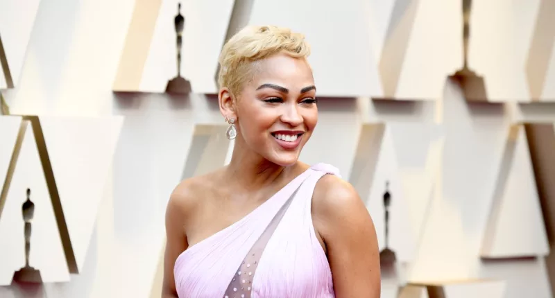 Meagan Good Claps Back at BBL Claims: ‘I Worked Hard for That’ 