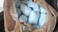 Mexican cartel members indicted for smuggling fentanyl, meth