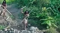 Moment indigenous tribe threatens workers on territory in Indonesia