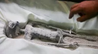 Mummified 'Alien' bodies are brought back to Mexico's Congress