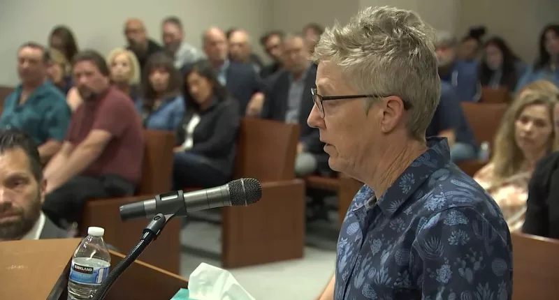 Anne Croney (pictured) has shared the chilling story of how she escaped from Patrick Nicholas eight years before he murdered a 16-year-old girl in Washington