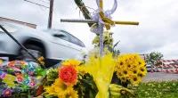 New Orleans teens plead guilty in carjacking, dragging death of woman, get 20 years