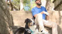 New Texas law cracks down on fake service animals