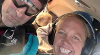 Newlywed couple die with two dogs after plane crashed in snowstorm